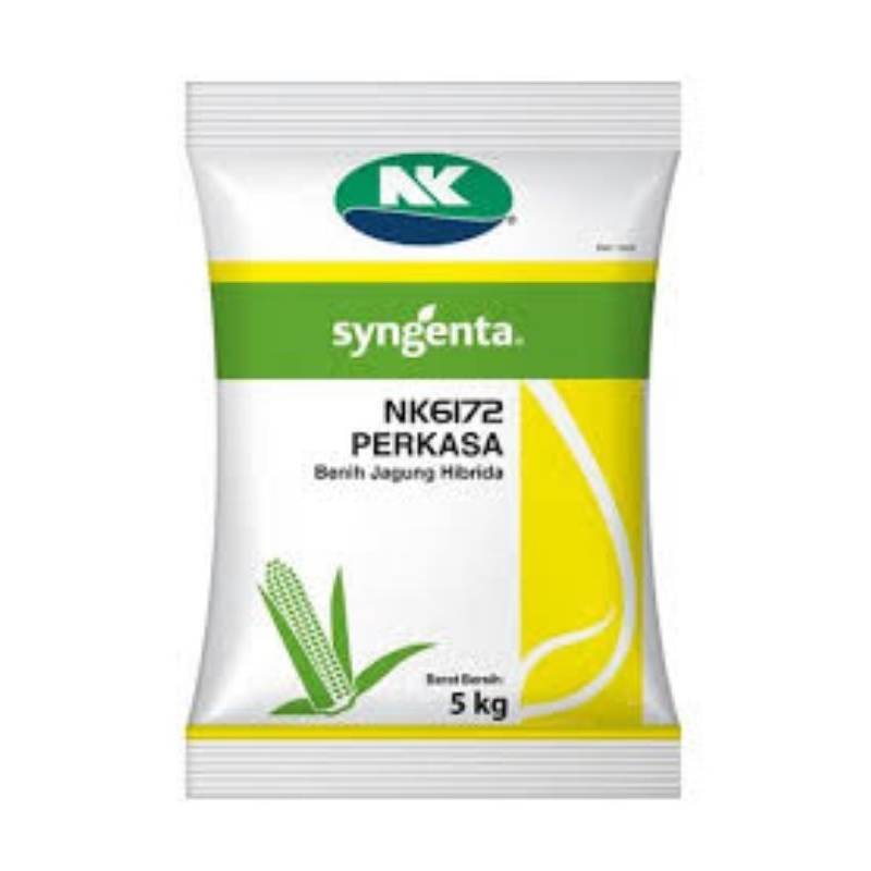 Benih Jagung Syngenta (NK Perkasa)