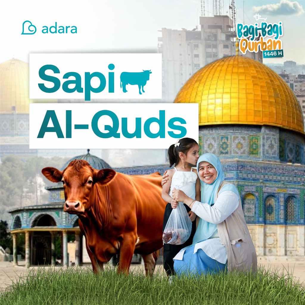 

[QURBAN PALESTINA] Qurban Sapi Premium untuk AL QUDS Palestina - Adara Relief International