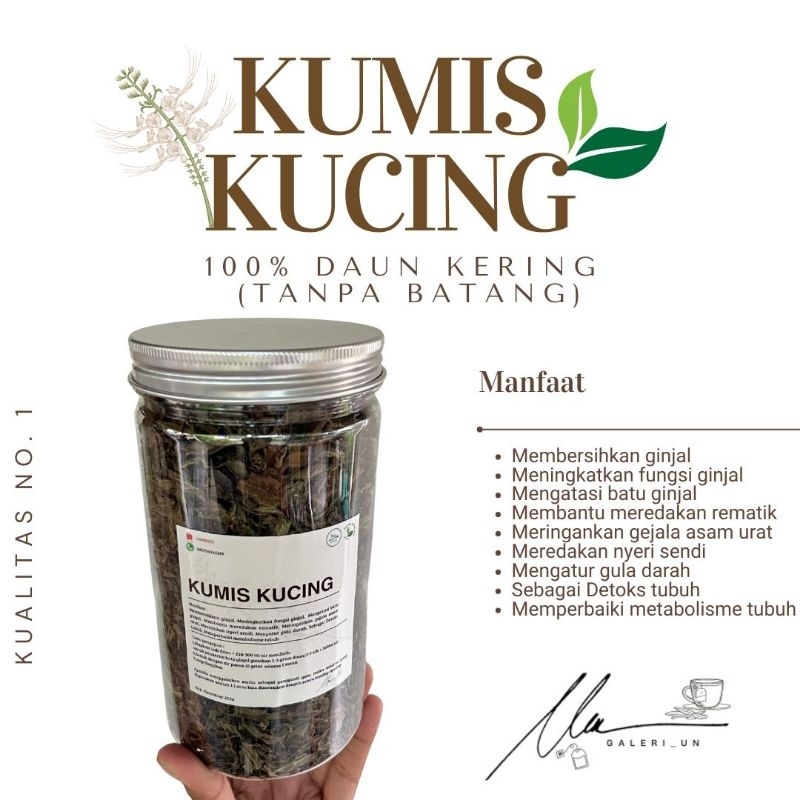 

TANAMAN KUMIS KUCING TOPLES PREMIUM UNTUK 50 kali konsumsi (bersih tanpa batang)