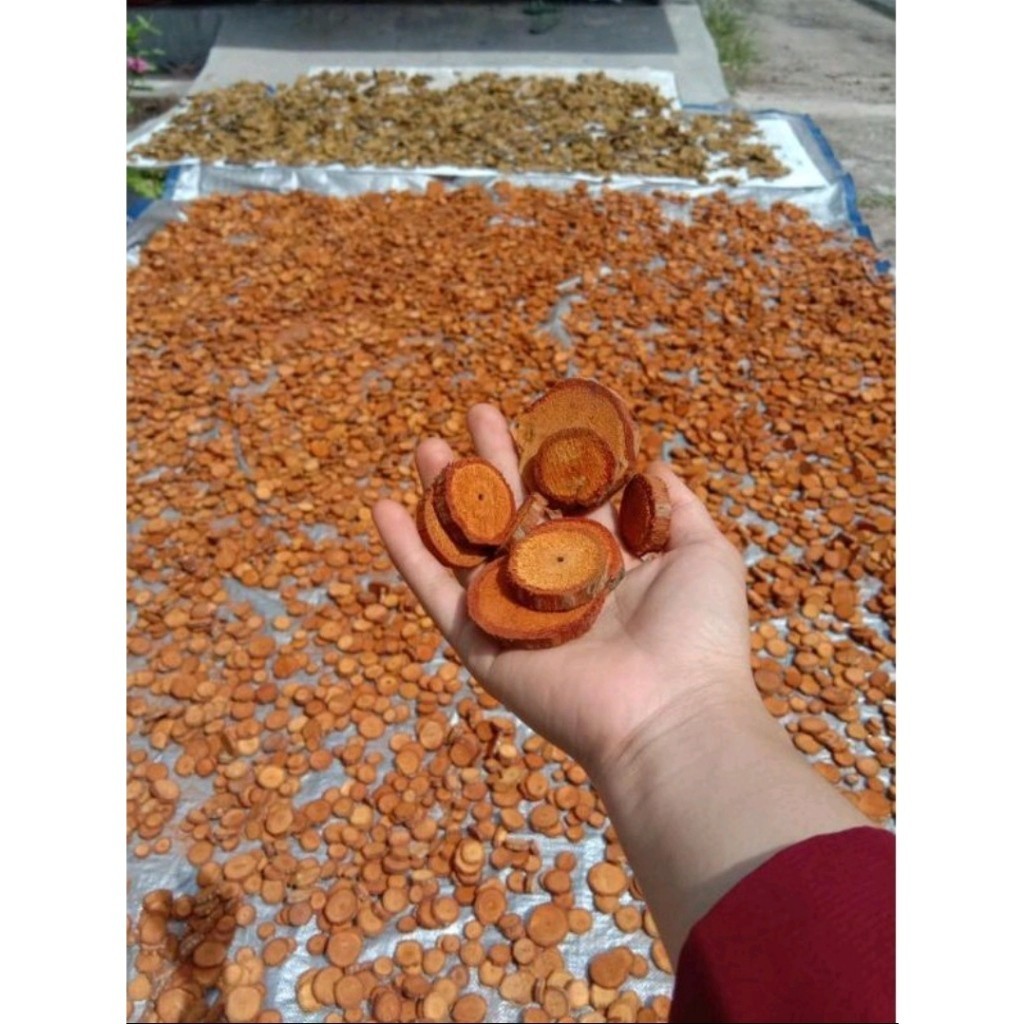 

[PROMO BESAR BESARAN] Kayu Bajakah Tampala Asli Kalimantan Kualitas Super Premium Original 500gram
