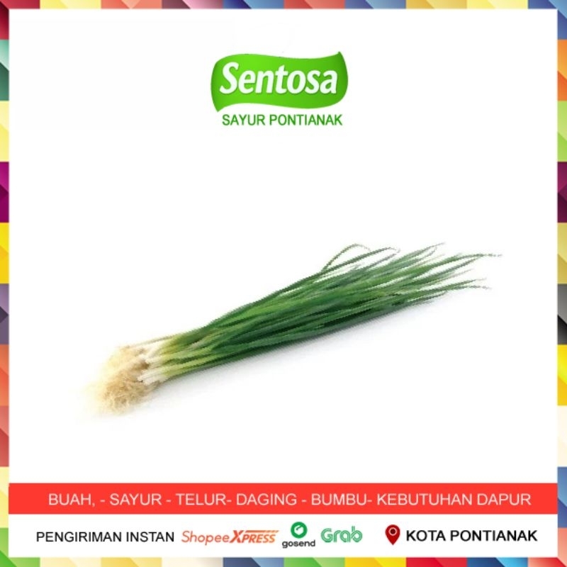 

Daun Bawang Sentosa Sayur Pontianak