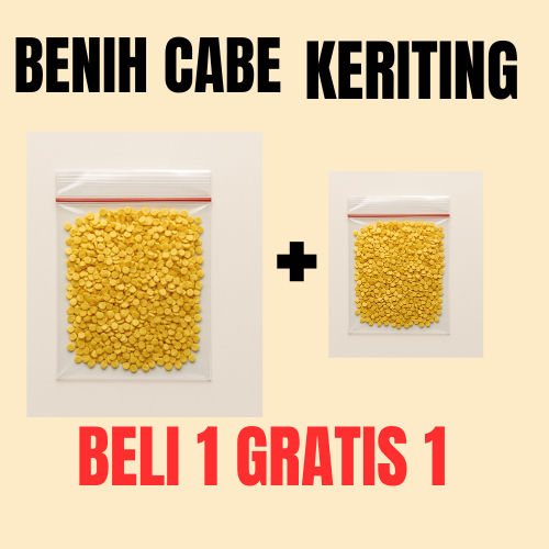 

(BELI 1 GRATIS 1) Benih cabai keriting isi 50 biji, termurah bisa cod