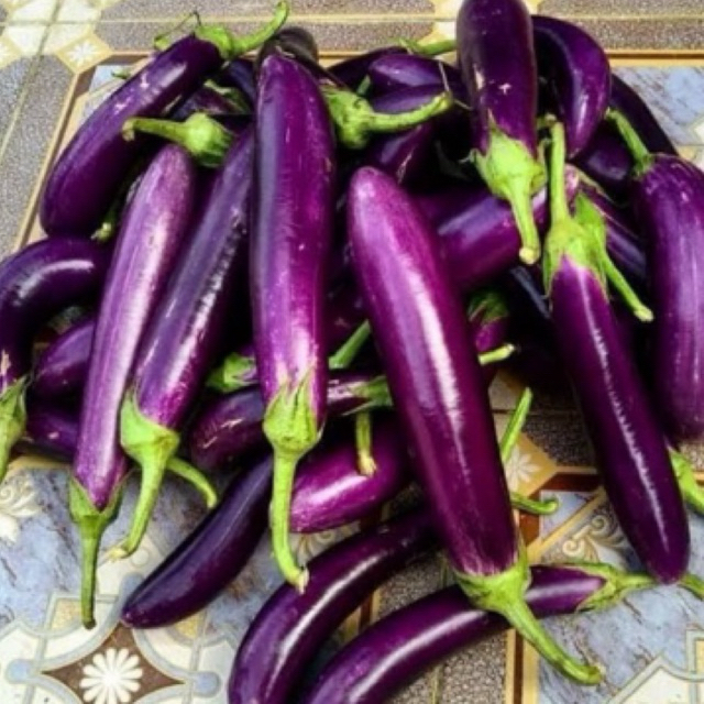 

TERONG UNGU 1KG/TERONG UNGU PANJANG/TERONG MANIS/TERONG UNGU SEGAR FRESH/TERONG MURAH/MAKANAN SEHAT/SAYURAN MURAH