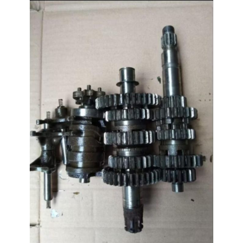 Gigi Rasio Byson Karbu Original Copotan