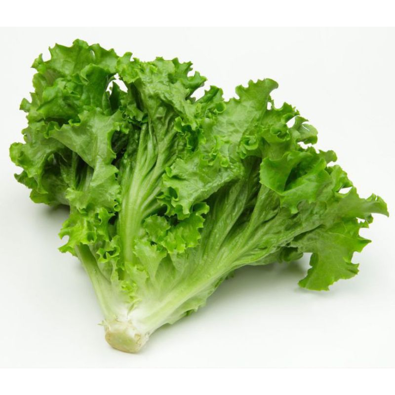 

slada kriting berat 250grm