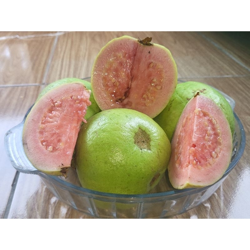 

jambu biji merah