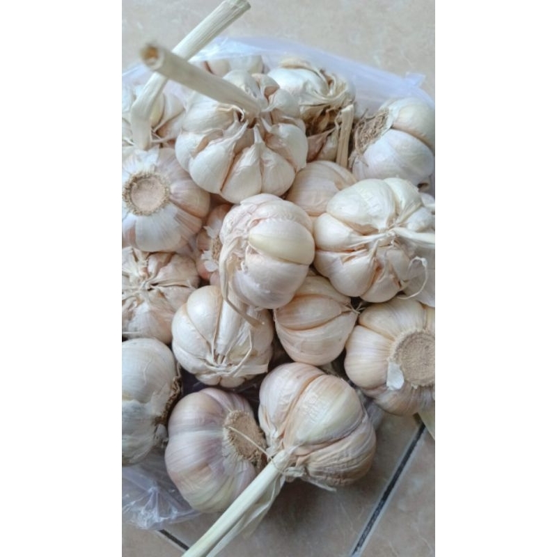 

Bawang Putih 250 Gram.