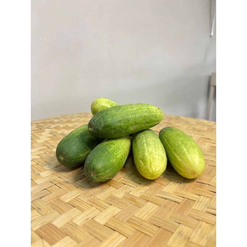 

timun segar / mentimun / sayur timun muda 0.5 kg