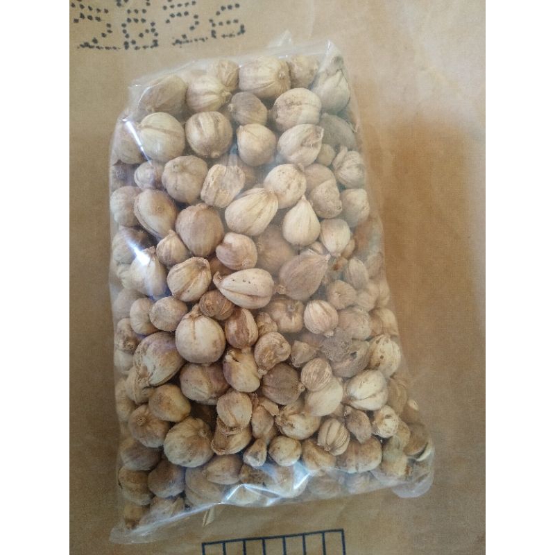 

Kapulaga asli isi 50 gram kuwalitas bagus bumbu dapur