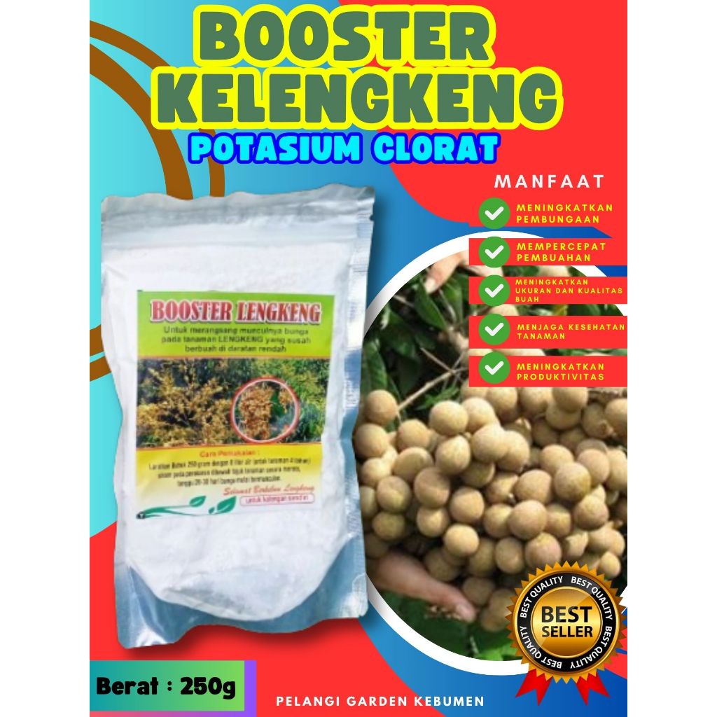 PALING DICARI  Boster Kelengkeng Cangkokan, Boster Kelengkeng Cristal