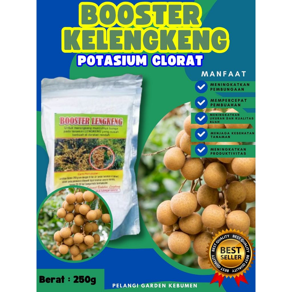 DIJAMIN ASLI  Booster Kelengkeng Kcl03, Booster Kelengkeng Kclo 3 Murni, Booster Kelengkeng Kclo 3