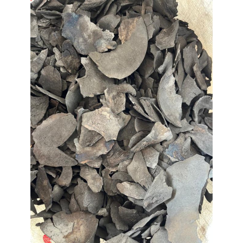 Arang Batok Kelapa 10kg (Mati Hampa)