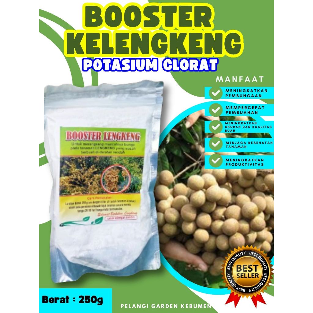 BEBAS JAMUR  Booster Kelengkeng New Kristal Cangkok, Booster Kelengkeng New Kristal Berbuah, Booster