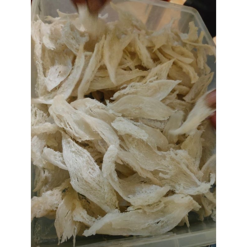 

Sarang Burung Walet Patahan 5gram