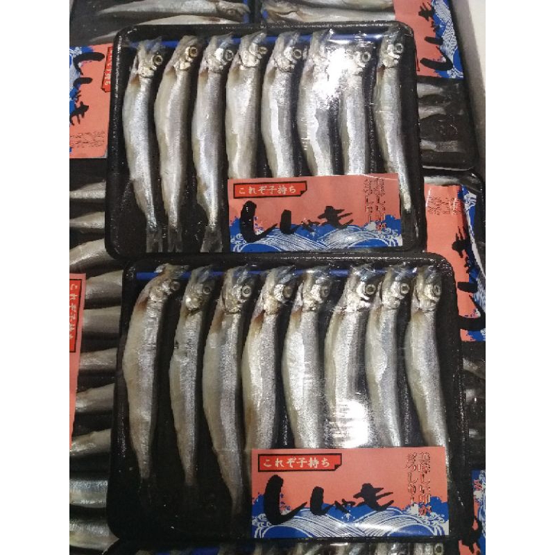 

Shisamo Fish / Ikan Capelin