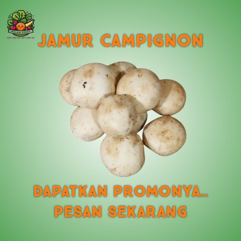 

JAMUR CAMPIGNON