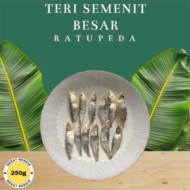 

Ikan Asin Teri Semenit Besar Super Murah Fresh 250,500,1000gr