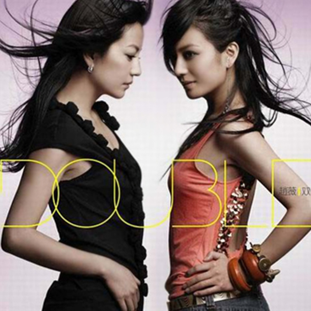 CD Music Vicki Zhao - Double 1CD 2005