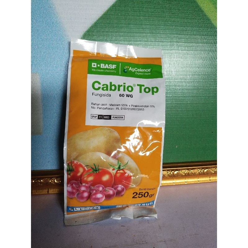 

Cabriotop250GR