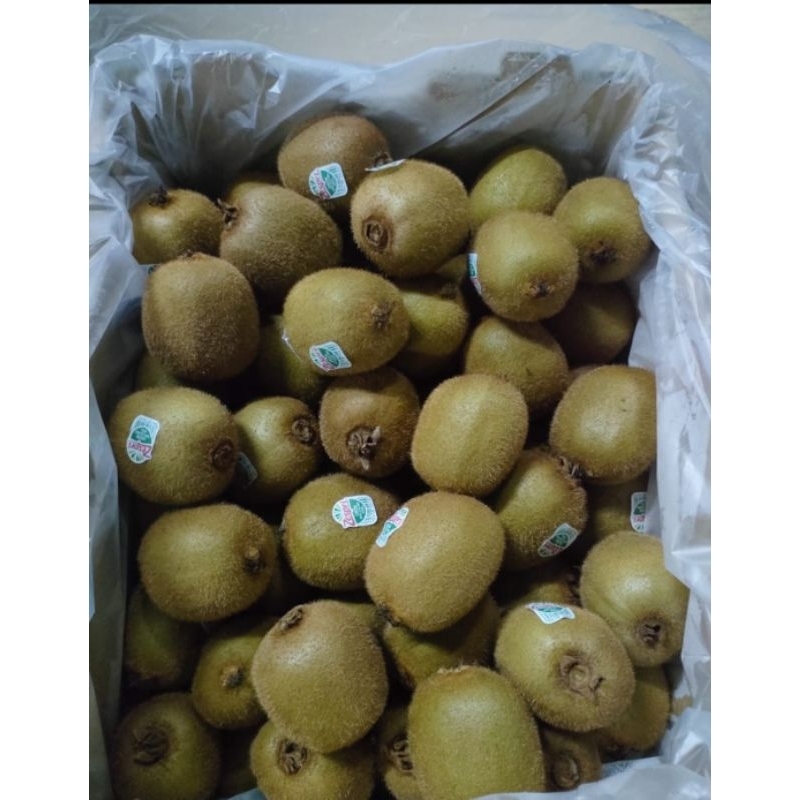

buah green kiwi per 1 kg buah