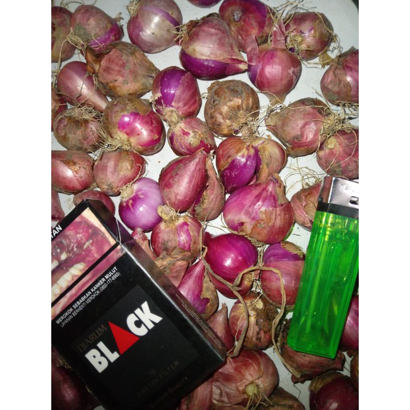

bawang merah demak super24 1kg
