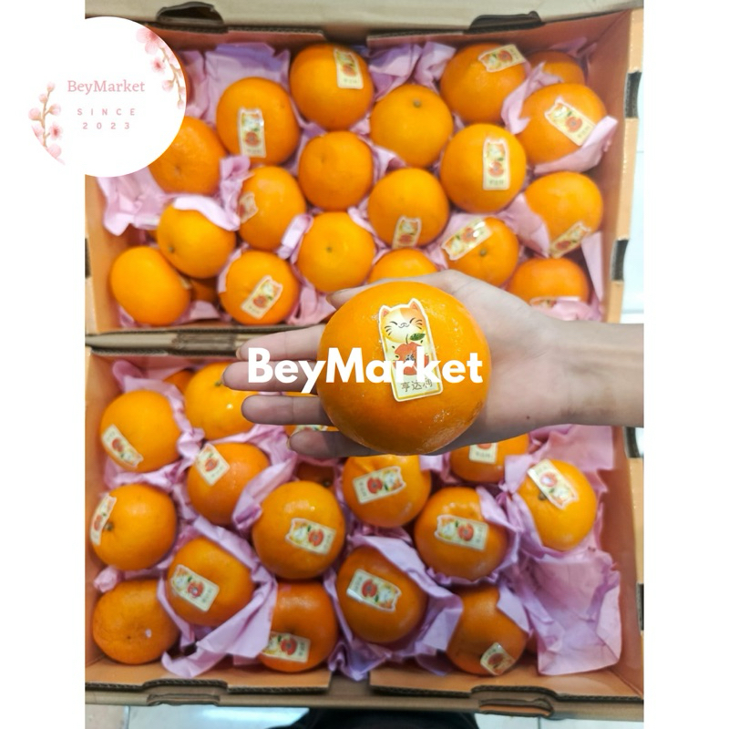 

Jeruk Wokam Taiwan Manis Banyak Air 1kg