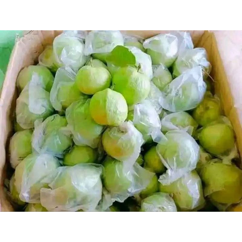

jambu kristal non biji 2kg