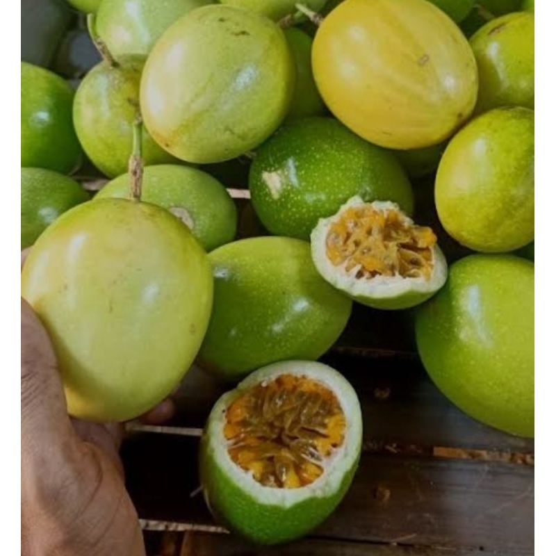 

buah markisa tua mateng/pilihan terbaik isi 500gr siap kirim