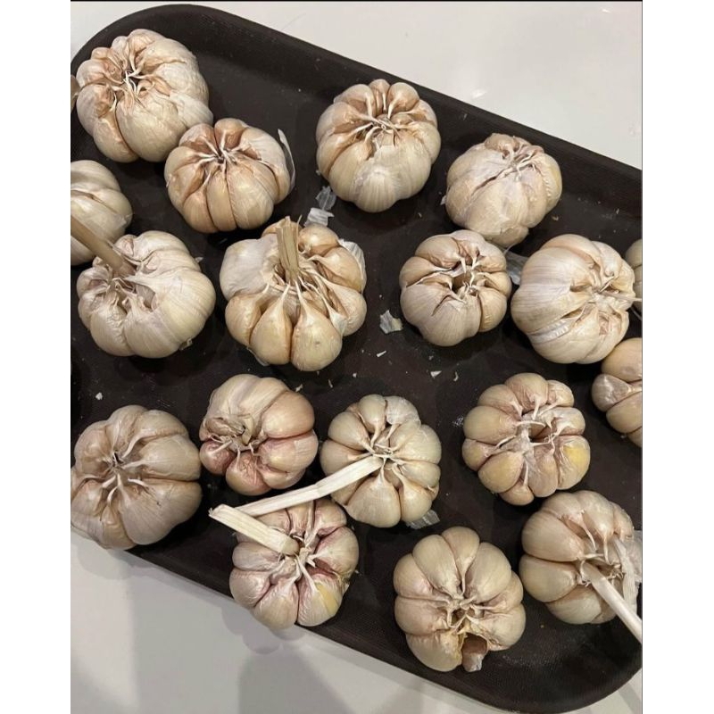 

Bawang Putih 100/250/500 Gram