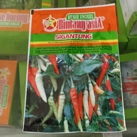 BENIH CABAI RAWIT SIGANTUNG 10 GR / CABAI RAWIT SETAN - BINTANG ASIA