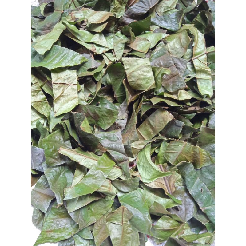 

Daun kopi kering kualitas grade A, daun kopi pilihan harga murah