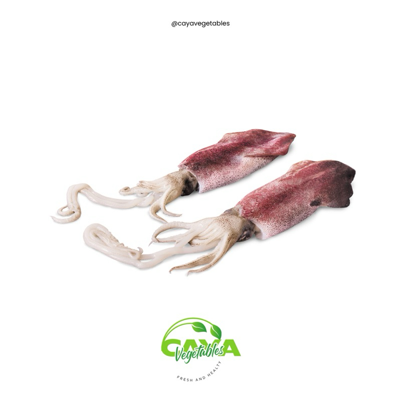 

Cumi Segar Size M Frozen Fresh | CayaVegetables