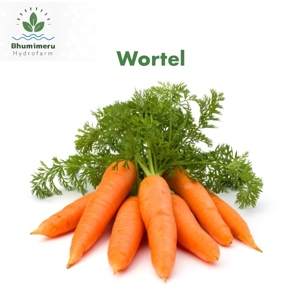 

Wortel Brastagi 1 kg
