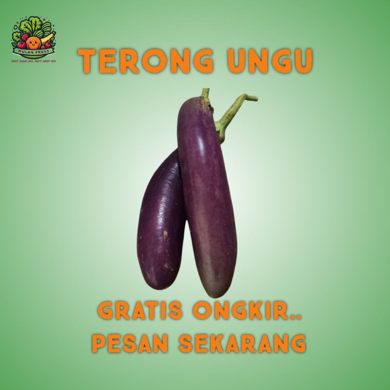 

TERONG UNGU