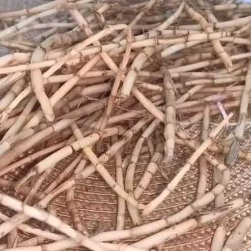 

BISA COD Akar Alang Alang / ilalang 250Gram segar Herbal