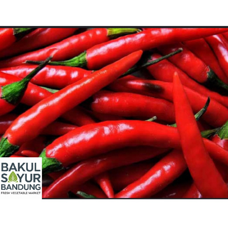 

Cabe Merah Tanjung/ TW