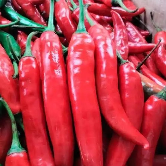 

Cabe Merah Besar Segar 100 Gram - Big Red Chili