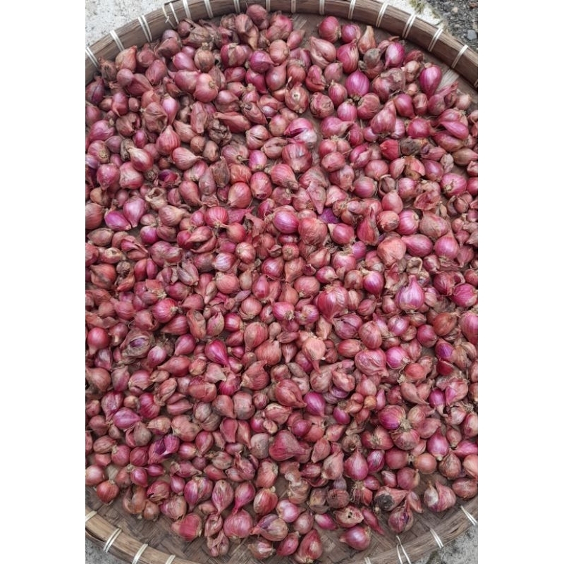 

Bawang Merah 1kg