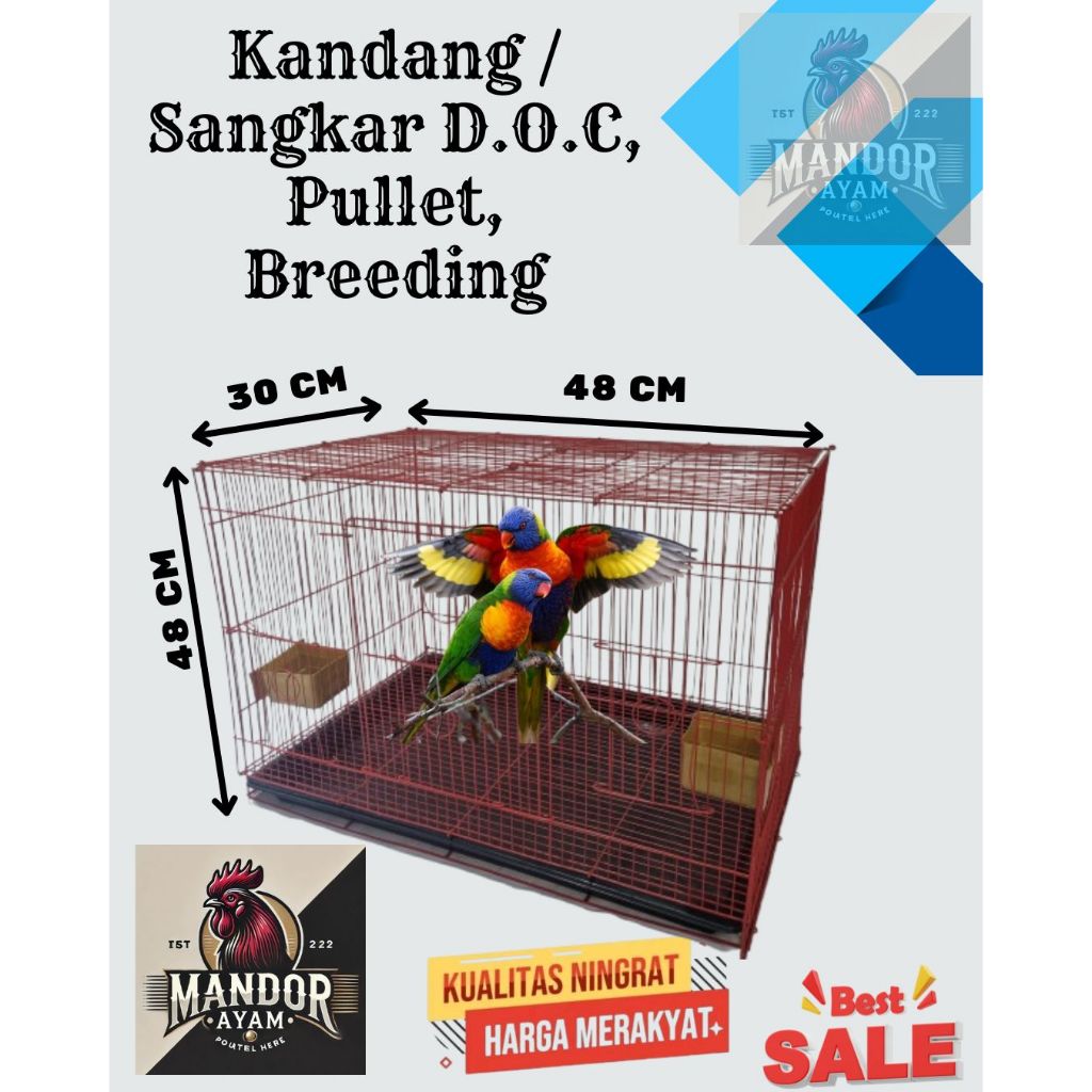 Kandang / Sangkar Ukuran 48x30 cm I Cocok untuk  D.O.C, Pullet, Breeding, Ombyokan