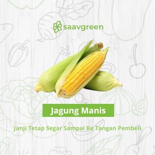 

Jagung Manis Kupas Segar