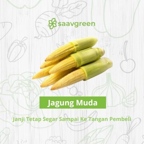 

Jagung Semi / Jagung muda / Baby Corn Segar