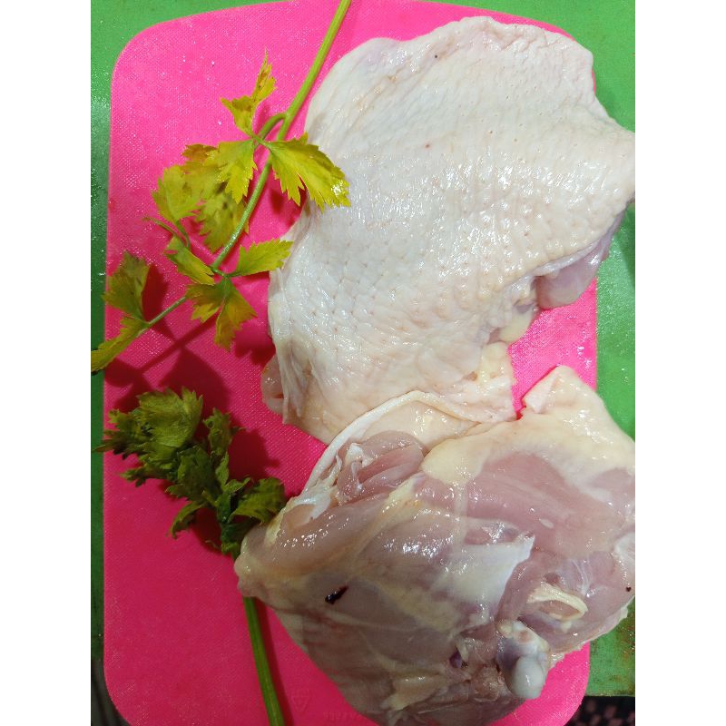 

PAHA ATAS DARI PAHA PARTING (TIGHT BON IN)