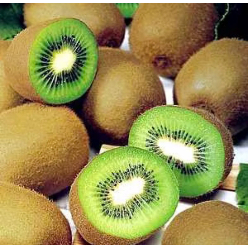 

kiwi import / kiwi frozen / buah kiwi premium / buah kiwi