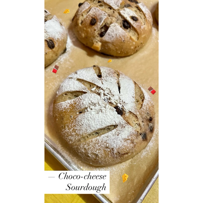 

Cranberry Cheese | Double Choco Sourdough Bread