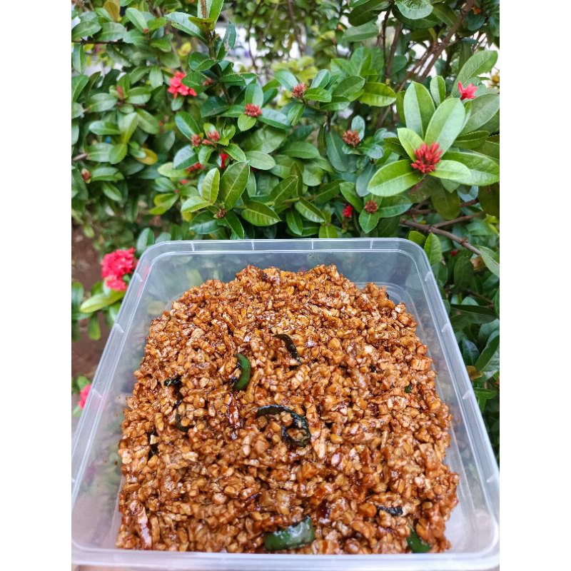 

Tempe Orek Kering