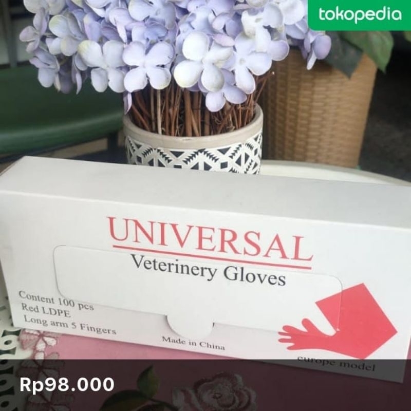 GLOVE SARUNG TANGAN IB 5JR IMPORT