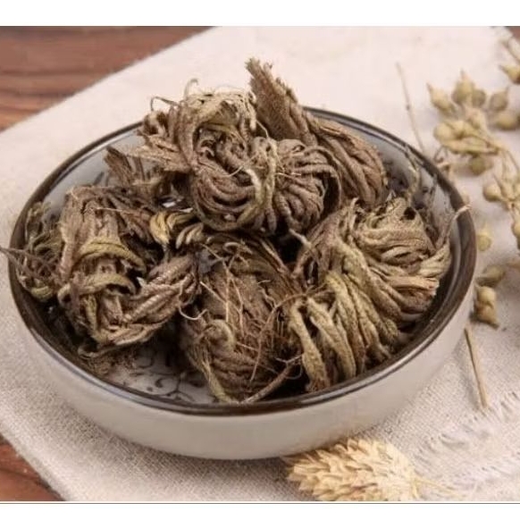 

Juan Bai Ye/ 卷柏叶/ Daun Selaginella remotifolia Spring