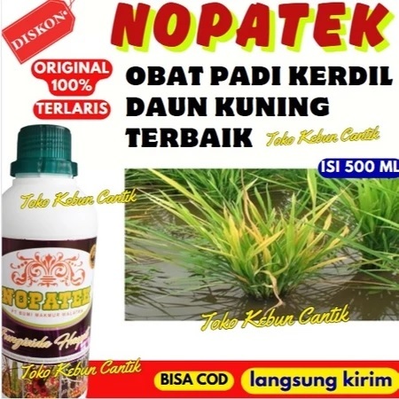 Fungisida Padi Daun Kuning NOPATEK | Obat Kerdil Padi & Penyakit Padi