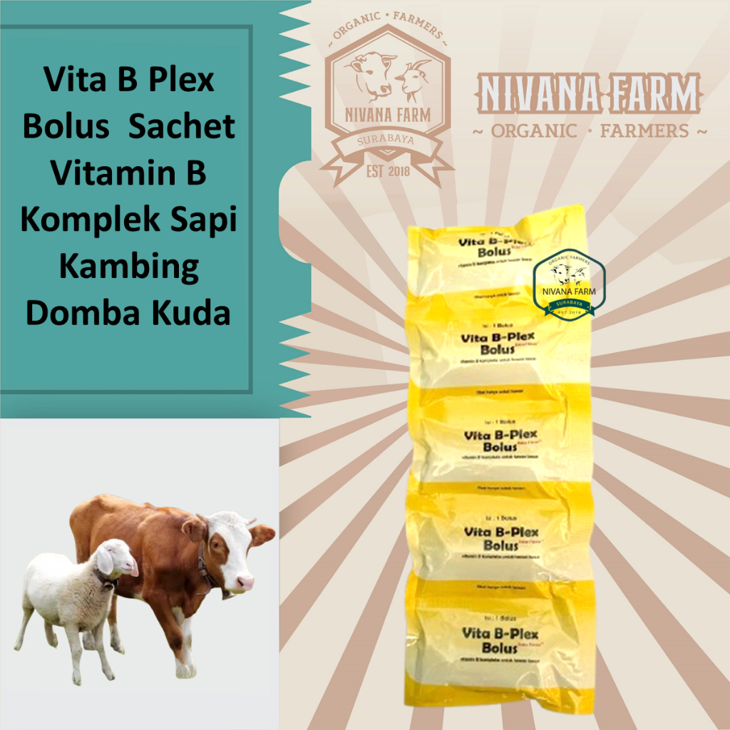 Vita B Plex Bolus  Sachet Vitamin B Komplek Sapi Kambing Domba Kuda