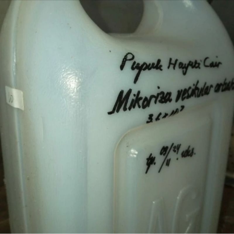 Pupuk Mikoriza
